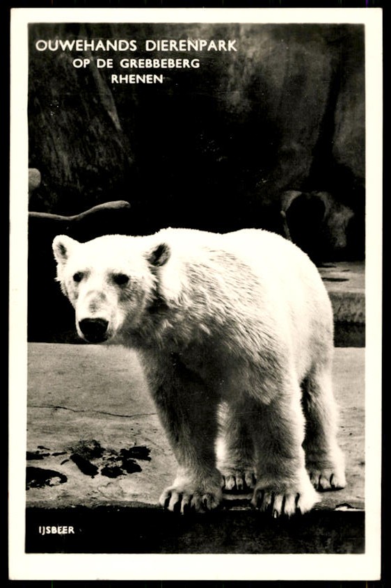kaart