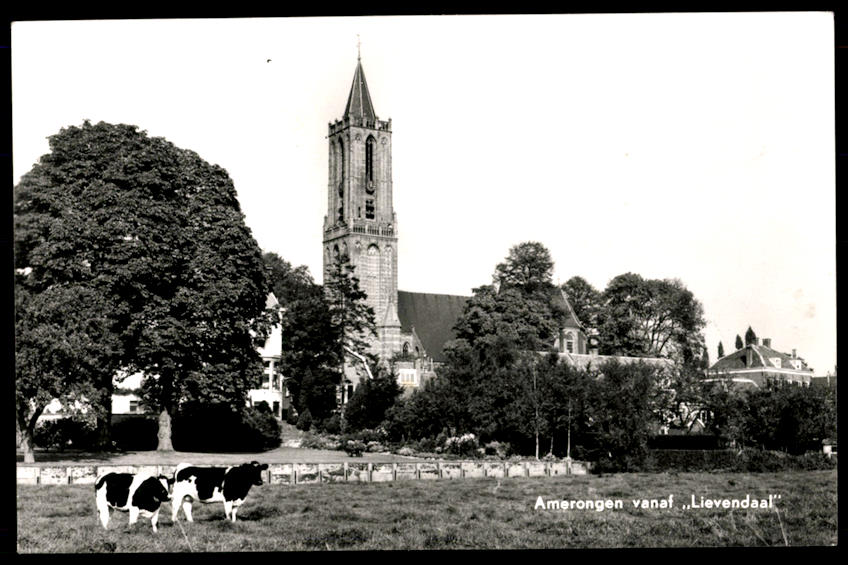 kaart