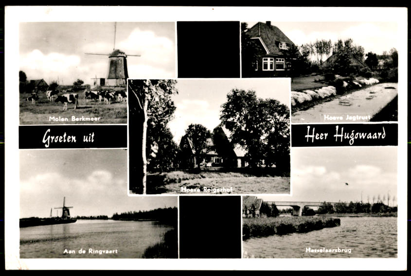 kaart