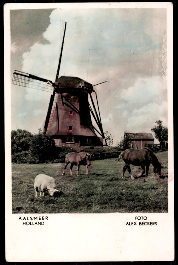 kaart