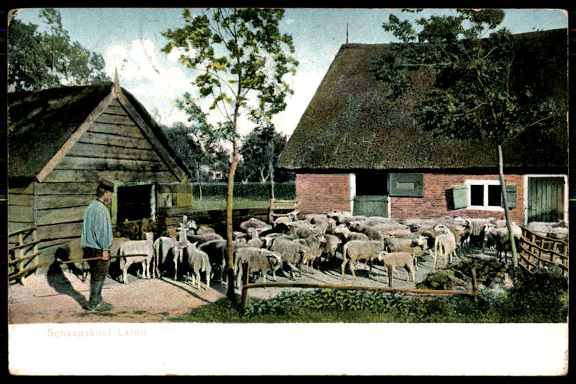 kaart