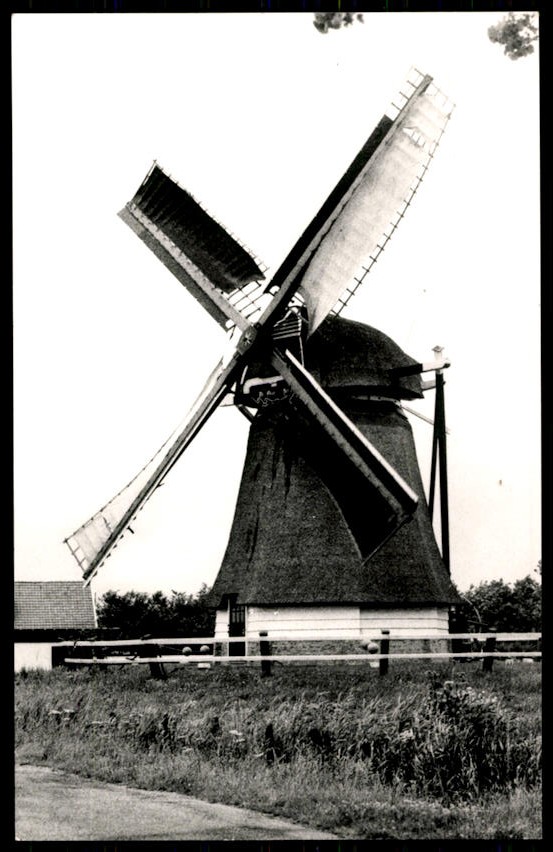 kaart