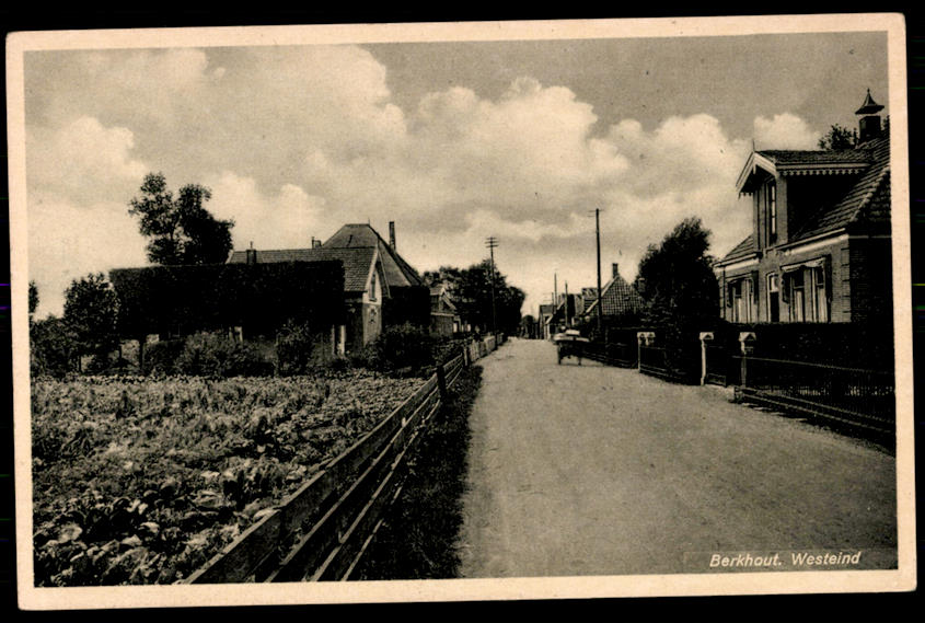 kaart