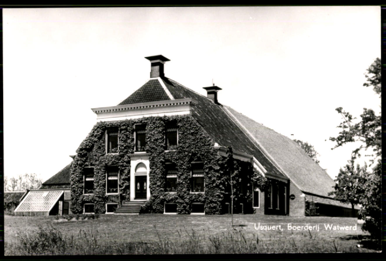 kaart