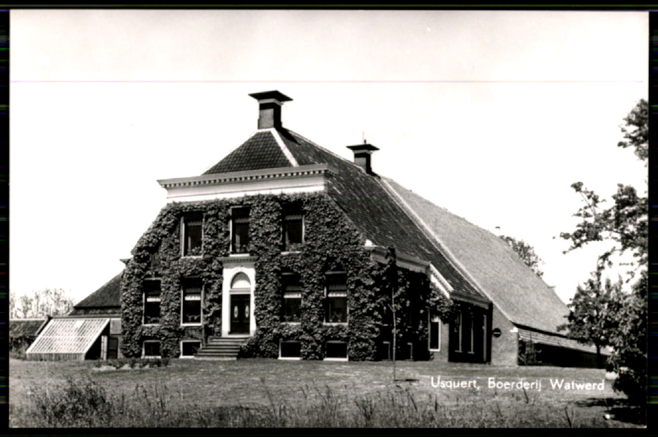 kaart