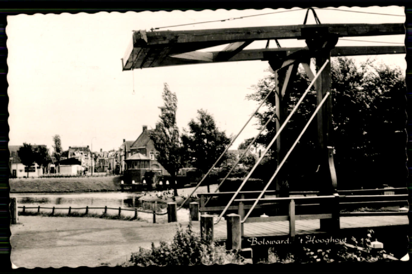 friesland