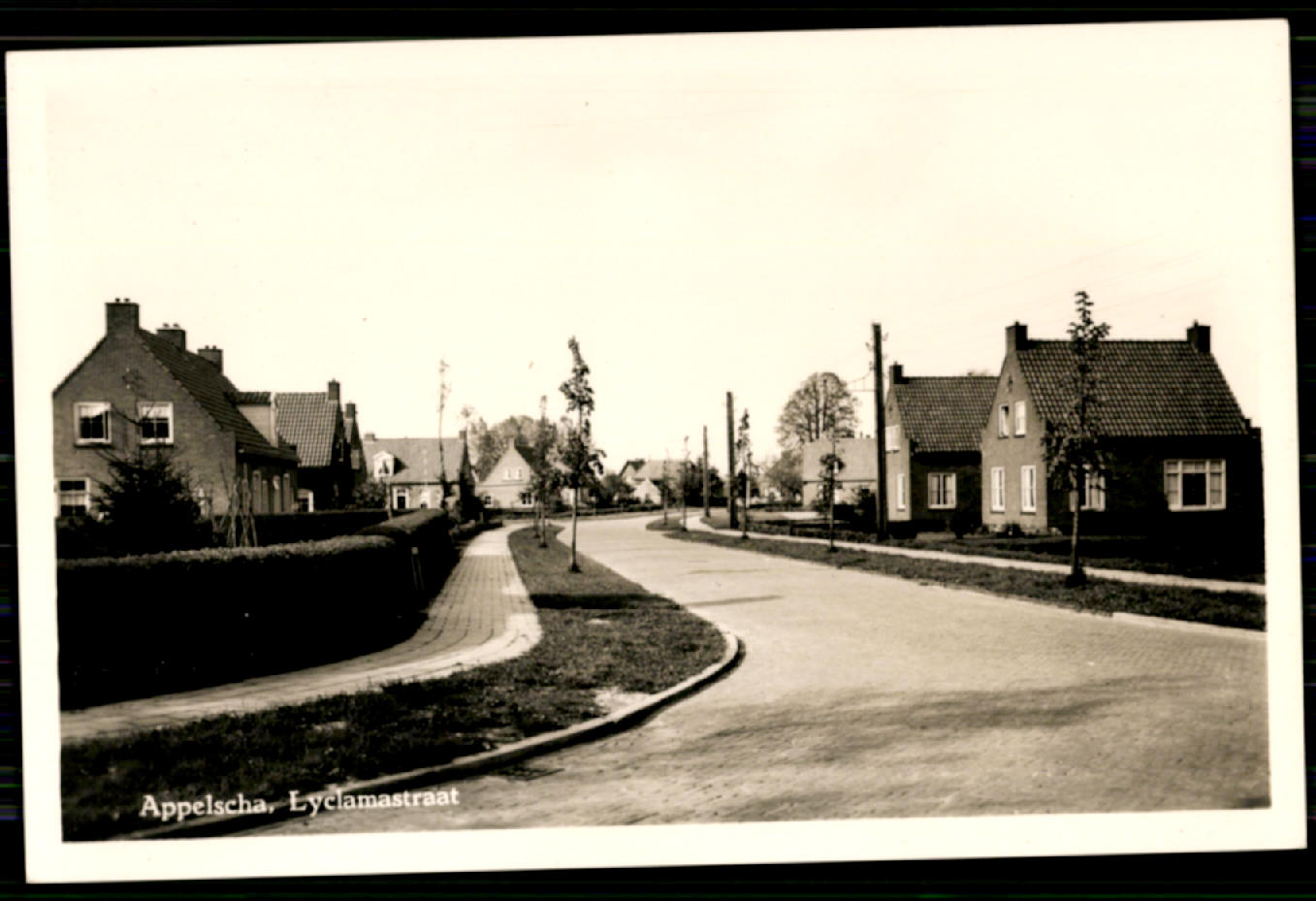 kaart