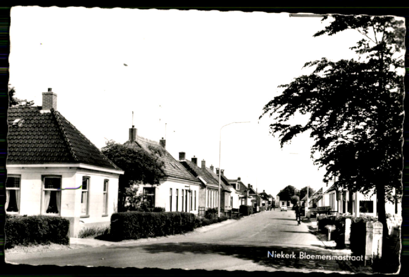 kaart