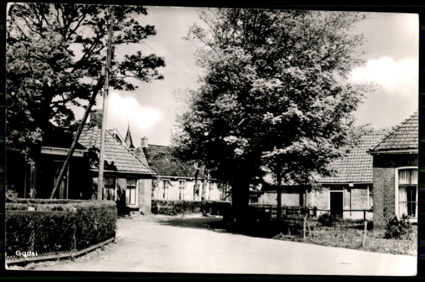 kaart